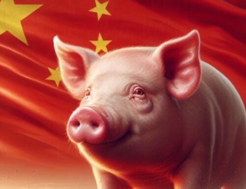 Cina, indagine anti-dumping sulla carne suina: per l’Ue ci sono in gioco sei miliardi di dollari